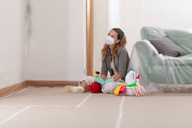 Reliable Mold Cleanup contractor in Westernport, MD by WQB Mold Removal